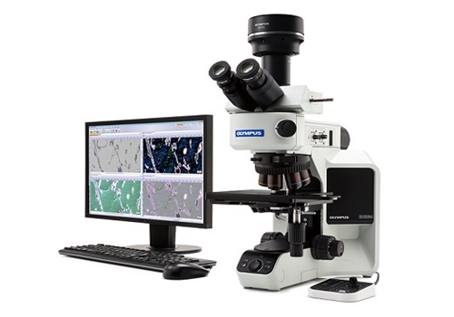 กล้องจุลทรรศน์ กล้องส่องขยาย Olympus upright microscopes bx53m
